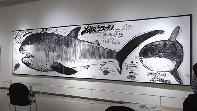 Triển lãm sinh vật biển ở bảo tàng nghệ thuật tỉnh Ibaraki